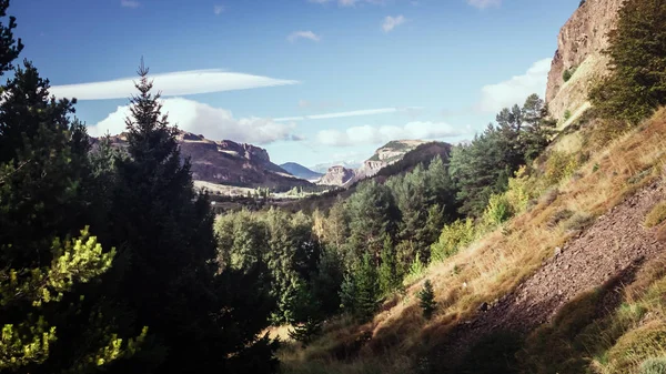Coyhaique Şili Patagonya'yakınındaki manzara. Orman ve dağlar bir des aralığının