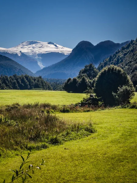 Landscape of the Pumalin National Park in the chilean Patagonia — Stock Photo, Image