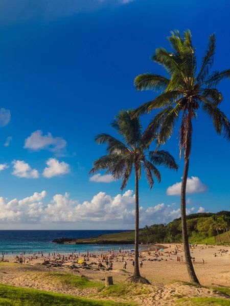 Palms at Anakena beach in Easter Island in Chile. The only touri — Stock Photo, Image