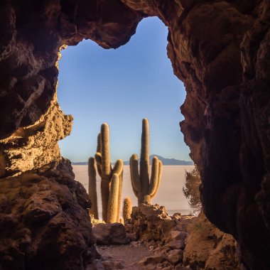 Sunrise on the salt flat of Uyuni inside a cave with cactus in f clipart