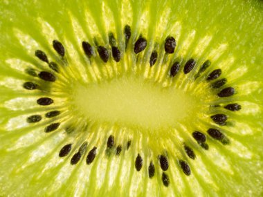 Dilim kivi aydınlatmalı, kivi, ra yakın çekim fotoğraf