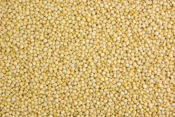 Fechar foto de sementes de quinoa, fundo feito de sementes de quinoa. Qu — Fotografia de Stock