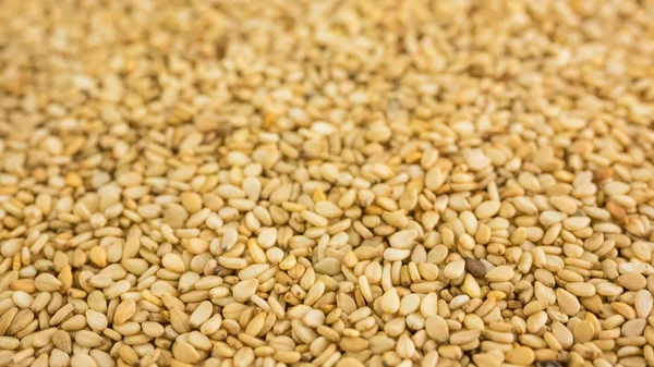 Fechar foto de sementes de sésamo, fundo feito de sementes de sésamo — Fotografia de Stock
