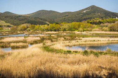 Urd biyosfer rezerv kuş ortasına kuş gözlemciliği