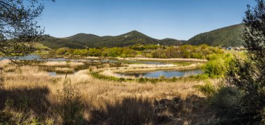 Urd biyosfer rezerv kuş ortasına kuş gözlemciliği
