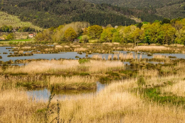 Urd biyosfer rezerv kuş ortasına kuş gözlemciliği