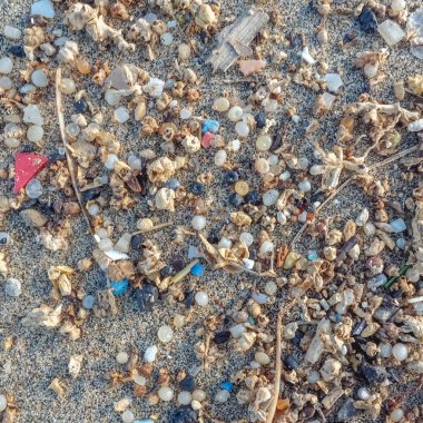 Microplastics Lanzarote bir plajın kıyısında bulundu. Deniz Po