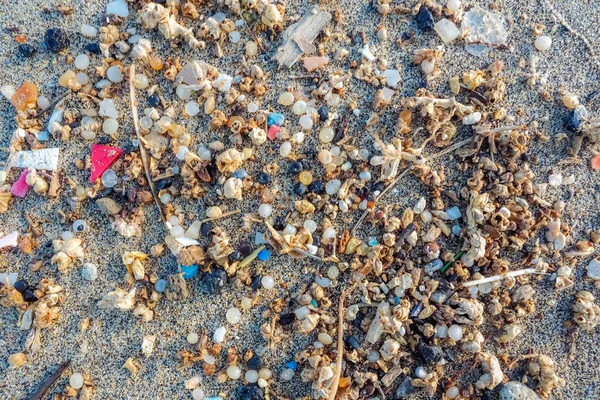 Microplastics Lanzarote bir plajın kıyısında bulundu. Deniz Po