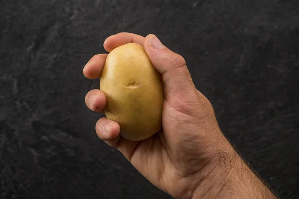 Hand hält eine Kartoffel auf strukturiertem schwarzem Hintergrund. — Stockfoto