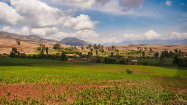Peru'da Cuzco yakınlarındaki tarım alanları, andes Aralığı