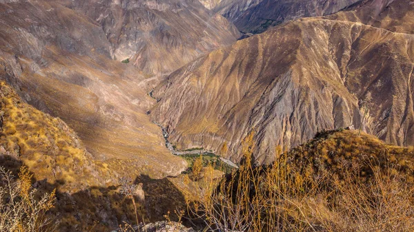 Canyon de Colca en Pérou — Photo