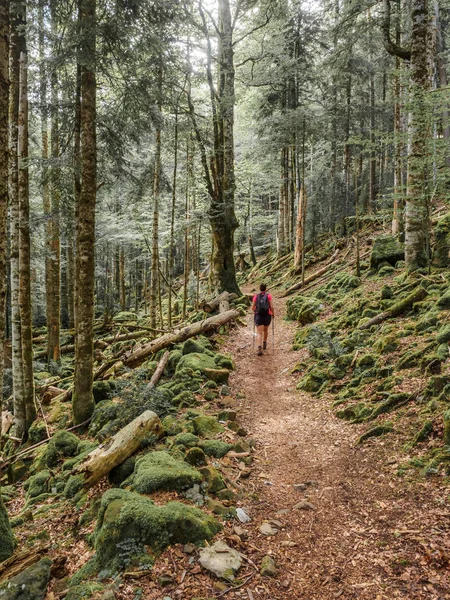 Girl trekking into the woods