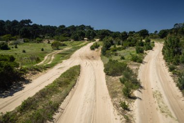 Uruguay Cabo Polonio Milli Parkı'na giden kumlu yol