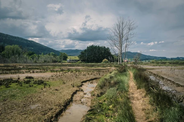 Шлях через болота в біосферному заповіднику Ураябай під час хмарного дня в країні Басків — стокове фото