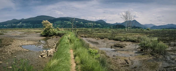 Chemin à travers les marais de la réserve de biosphère d'Urdaibai pendant une journée nuageuse au Pays Basque Photos De Stock Libres De Droits