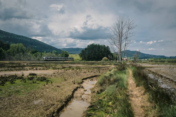Chemin à travers les marais de la réserve de biosphère d'Urdaibai pendant une journée nuageuse au Pays Basque Images De Stock Libres De Droits
