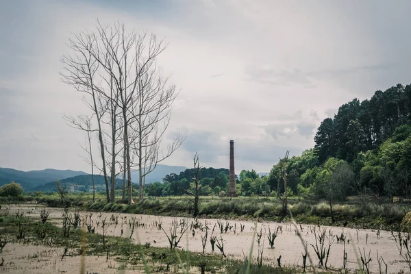 Marismas y pantanos en la Reserva de la Biosfera de Urdaibai en el País Vasco —  Fotos de Stock