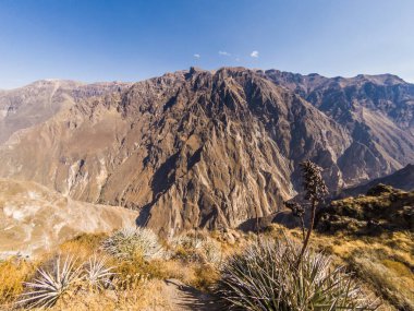 Peru 'daki Cabanaconde 'den Colca Kanyonu.