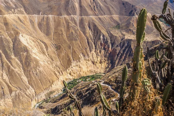 Colca-schlucht von cabanaconde in peru. — Stockfoto