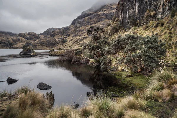 อุทยานแห่งชาติ Cajas ในเมือง Cuenca ในเอกวาดอร์ — ภาพถ่ายสต็อก