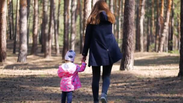 Glückliche Junge Mutter Die Mit Ihrer Kleinen Tochter Wald Spaziert — Stockvideo