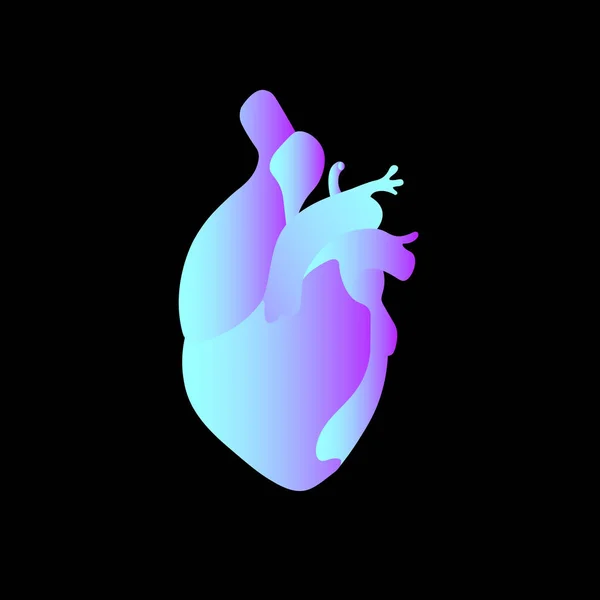 Anatomical heart. bright blue gradient — Stock Vector