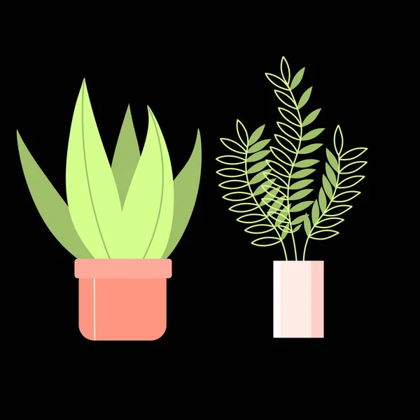 Two isolated houseplants in a pot — Stock Vector