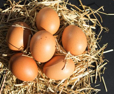 siyah arka plan üzerine saman üzerinde çilli altı taze çiğ yumurta