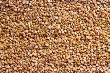 Karabuğday. Taze karabuğday. Kuru karabuğday arka planı. karabuğday dokusu.