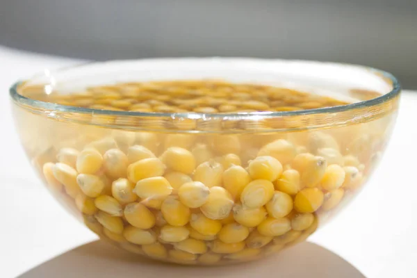 Beaucoup de haricots rouges crus trempés dans l'eau dans un bol en verre clair sur une table blanche avec parasol Images De Stock Libres De Droits