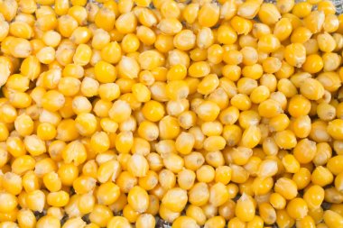 pişmiş sarı mısır taneleri arka plan 