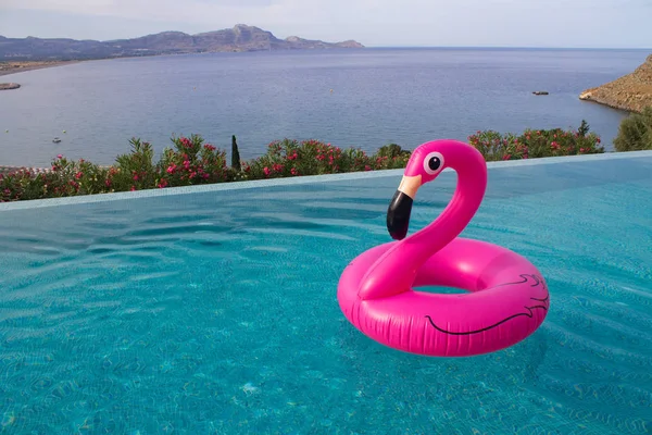 Большой розовый фламинго для купания в бассейне с видом на море Стоковая Картинка