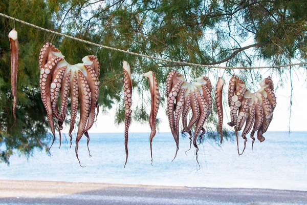 Кілька свіжих восьминоги сушать на мотузці і гачки на тлі дерева і Середземного моря в Греції Ліцензійні Стокові Зображення