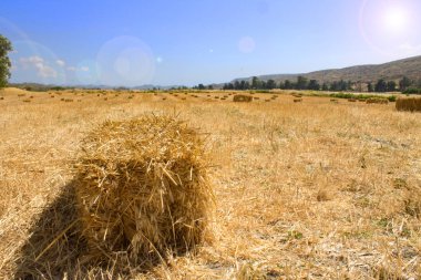 bulutlar ve güneş ışığı, ağaçlar ve dağlar ile gökyüzüne bakan bir alanda kurutulmuş saman dikdörtgen bir saman yığınının yakın çekim