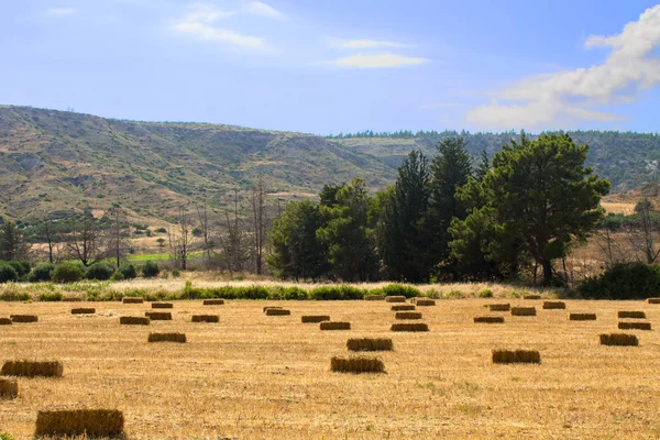 panorama of the mountain trees, the sky with clouds and a field with folded rectangular stacks of hay collected in the foreground.