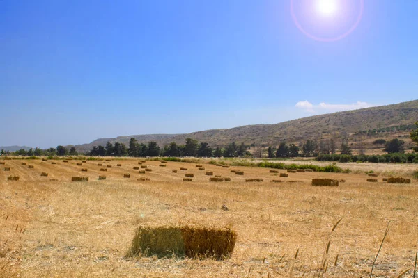 panorama of the mountain trees, the sky with clouds and a field with folded rectangular stacks of hay collected in the foreground.