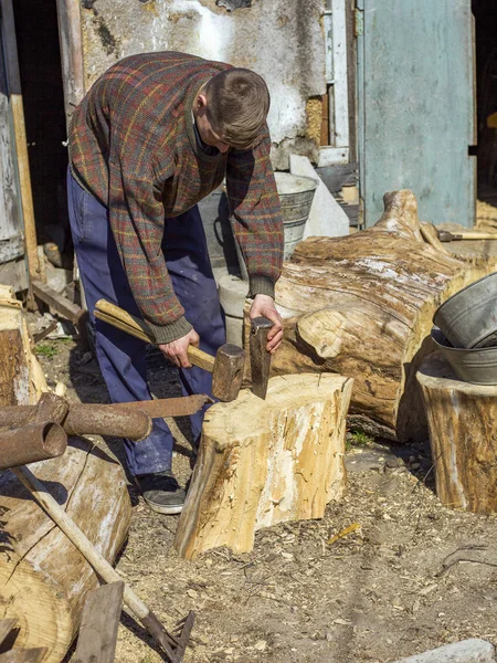 Guy in the village chopping oak stumps with a wedge and sledgehammer, harvesting wood — Stock Photo, Image