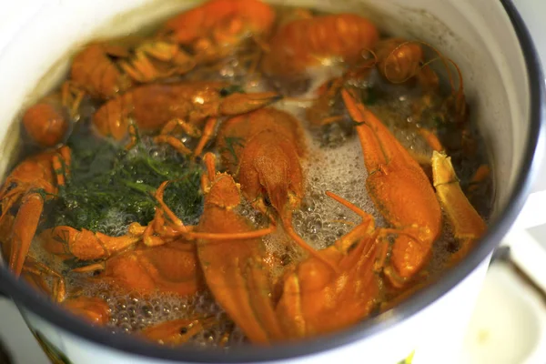 boiling crayfish in marinade,cooking river delicacy boiled crayfish in a pan a delicious beer snack  close-up