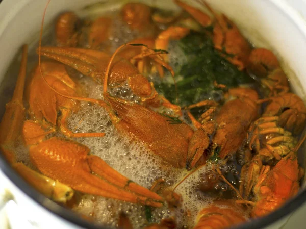 boiling crayfish in marinade,cooking river delicacy boiled crayfish in a pan a delicious beer snack  close-up