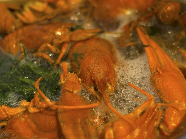 boiling crayfish in marinade,cooking river delicacy boiled crayfish in a pan a delicious beer snack  close-up