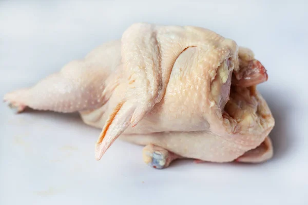 Nyklippt kyckling på vit bakgrund, broiler kadaver vit kycklingkött — Stockfoto