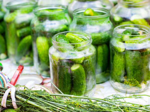 Grandma closes pickled cucumbers in the banks for the winter,the process of pickling  small fresh cucumbers in jar