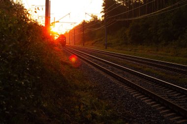 the train rushes by rail through a beautiful morning forest illuminated by the orange rising sun clipart