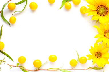 güzellik çiçekleri düz kiraz erik çerçeve ve dekoratif ağaç salix matsudana tortuosa beyaz arka plan üst görünümünde kopyalama alanı dalları çerçeve yatıyordu