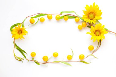 güzellik çiçekleri düz kiraz erik çerçeve ve dekoratif ağaç salix matsudana tortuosa beyaz arka plan üst görünümünde kopyalama alanı dalları çerçeve yatıyordu