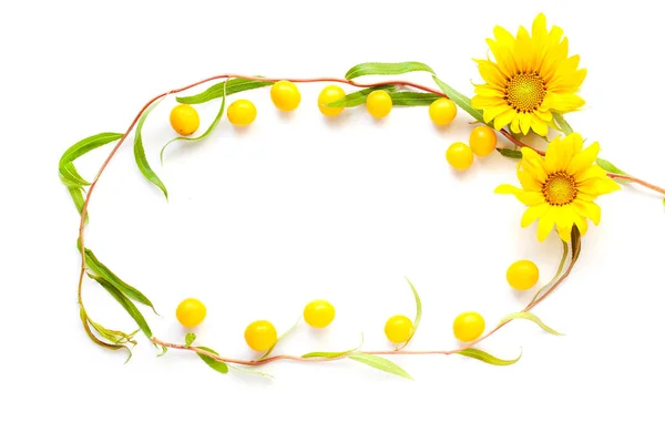 Belleza maqueta marco de verano de ramitas, ciruelas de cerezo y girasol sobre un fondo blanco vista superior — Foto de Stock