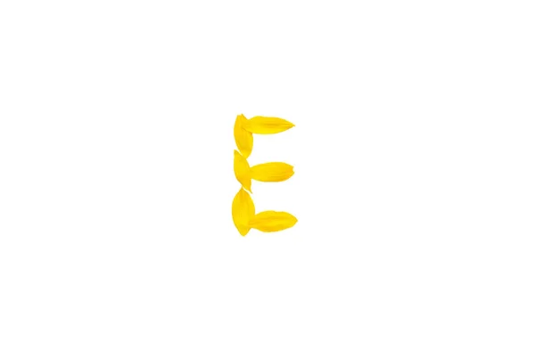 Κίτρινο γράμμα E από τα πέταλα ηλίανθου, αλφάβητο στοιχείο, ομορφιά διακοσμητική γραμματοσειρά απομόνωμα λευκού φόντου — Φωτογραφία Αρχείου