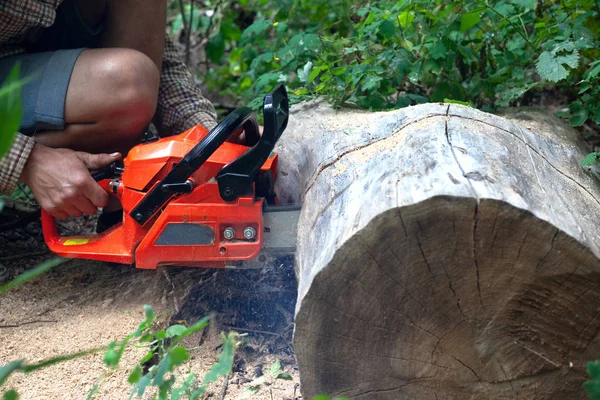 Tipo corta un tronco de motosierra de un árbol caído — Foto de Stock