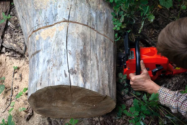 Trabajador corta un tronco grande de un árbol caído con una motosierra — Foto de Stock