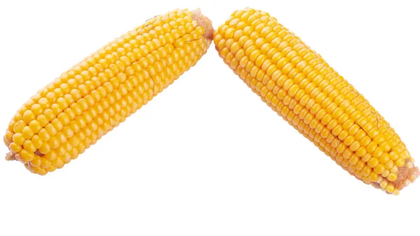Gotowane kukurydza słodka, pojedyncze uszy kukurydzy na białym tle — Zdjęcie stockowe
